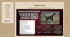 Desktop Screenshot of cadogansboxers.com